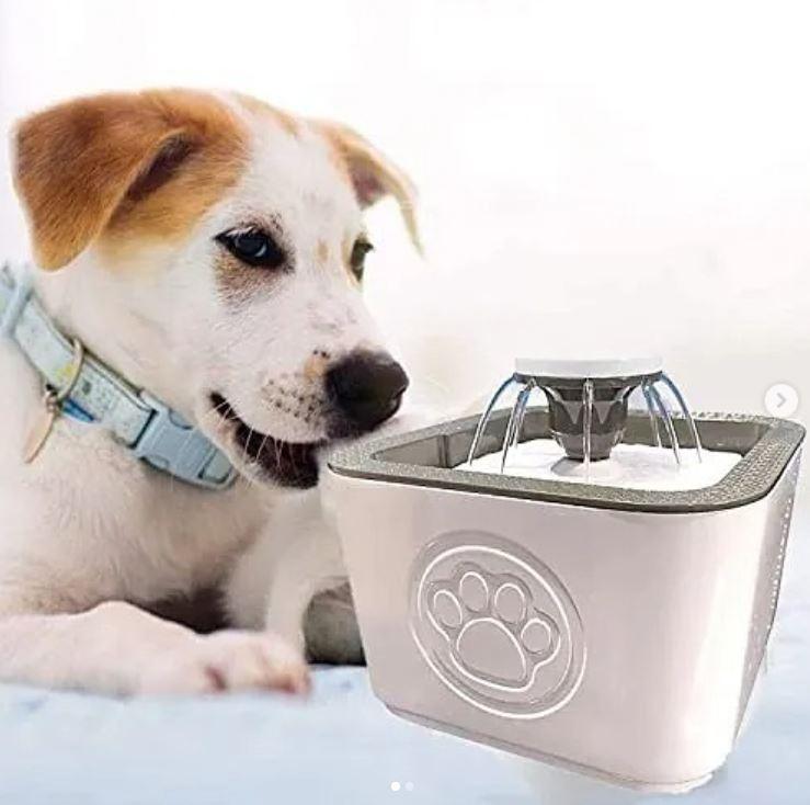 Fuente Bebedero Para Mascotas Agua Fresca Para Perro Y Gato - Tubelux