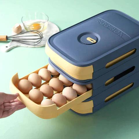 Organizador de soporte de cocina para bandeja de huevos - DSE